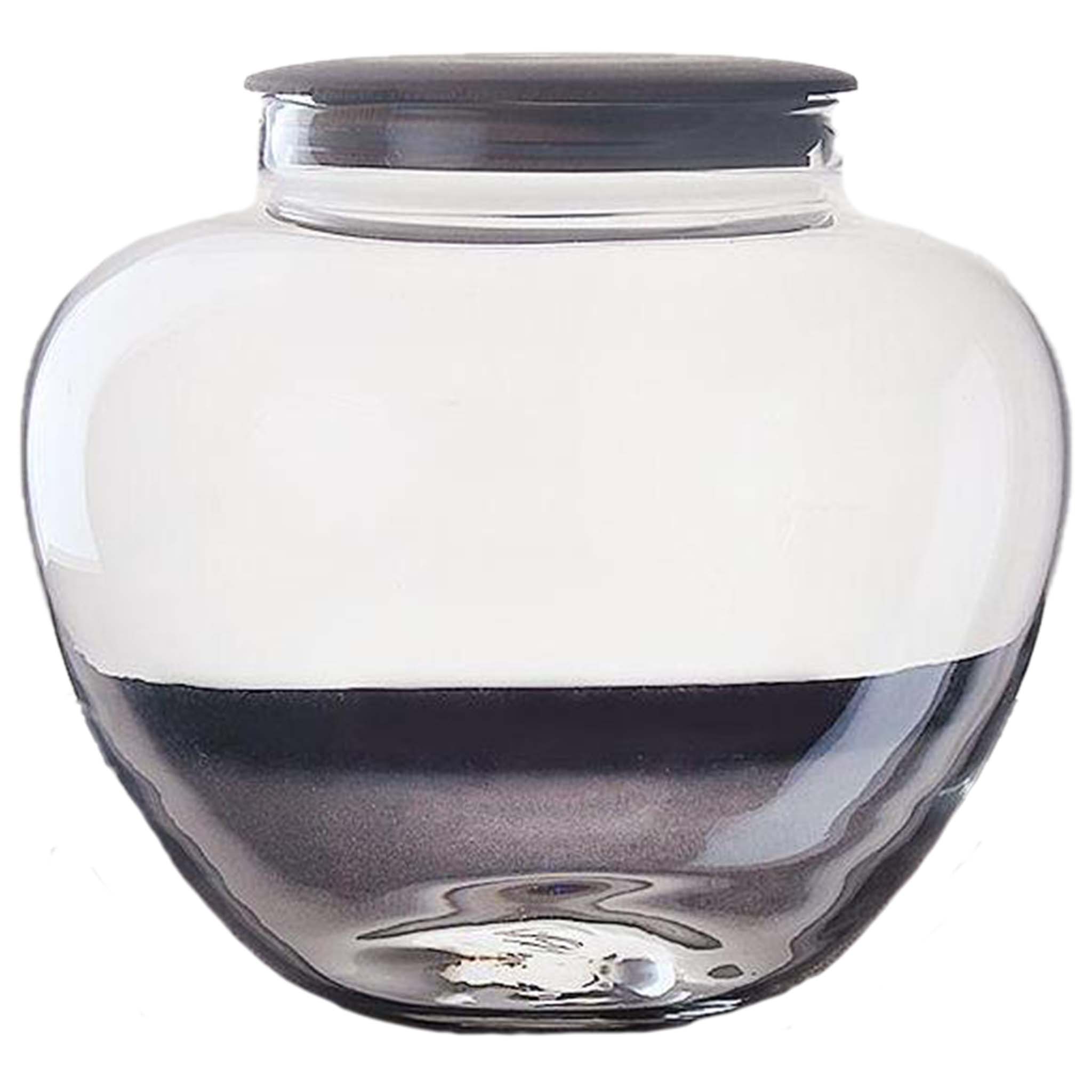 CONTENITORE IN VETRO Vaso Per Piante Vaso Idroponico Per Fiori Casa EUR - 7